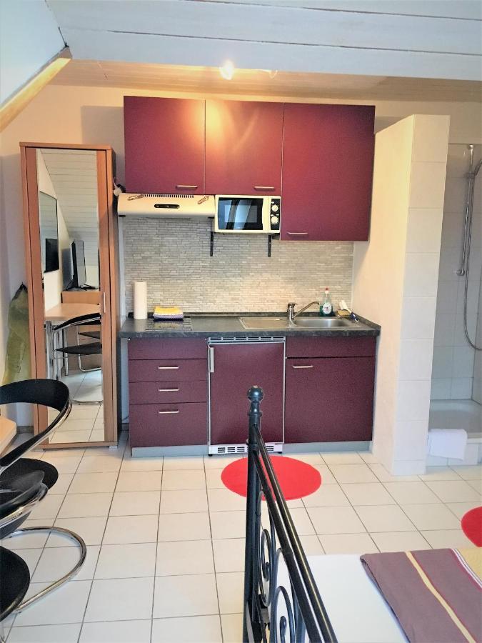 Studentenwohnung Allensbach Exteriér fotografie